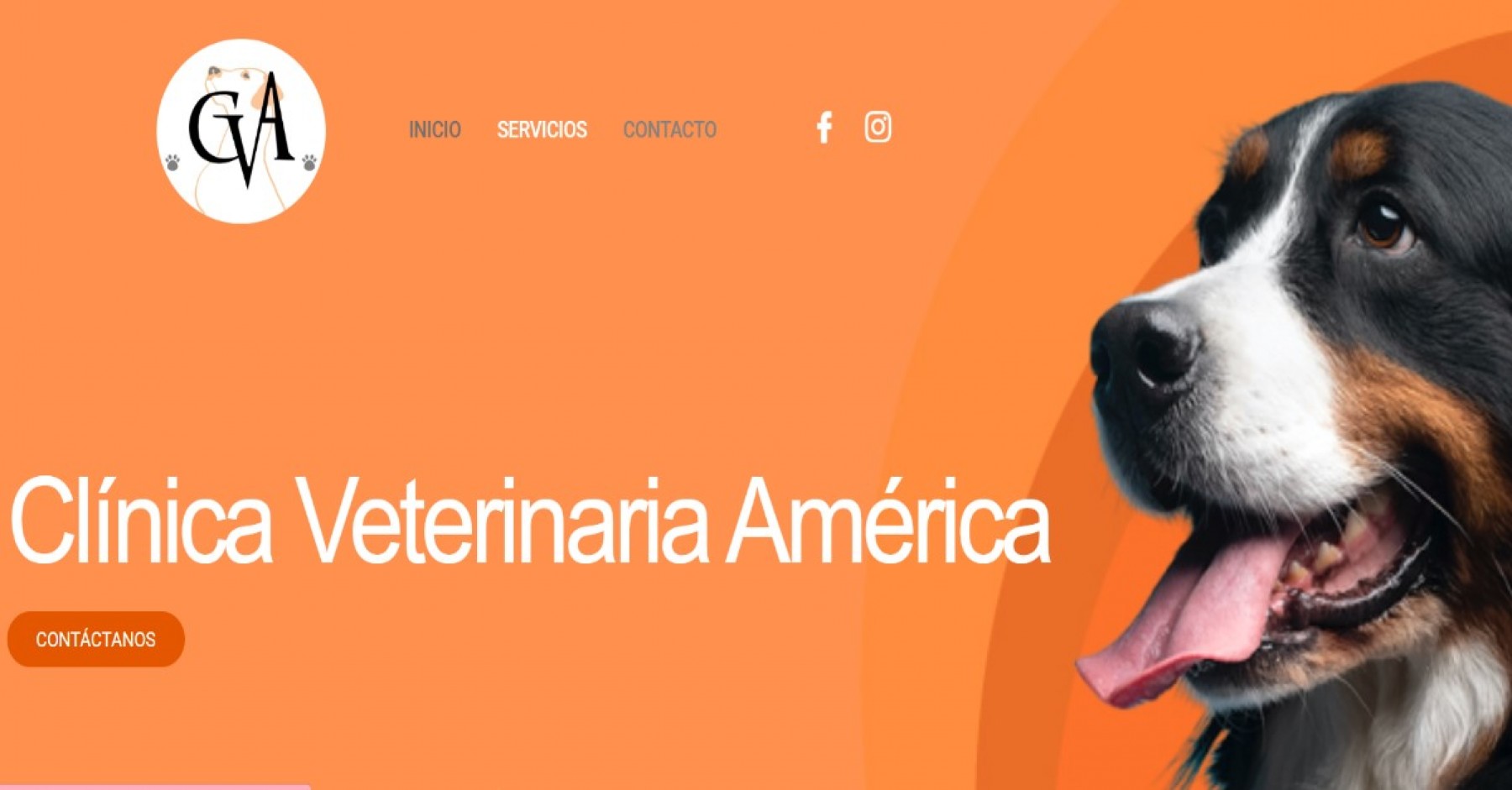 Clínica Veterinaria América