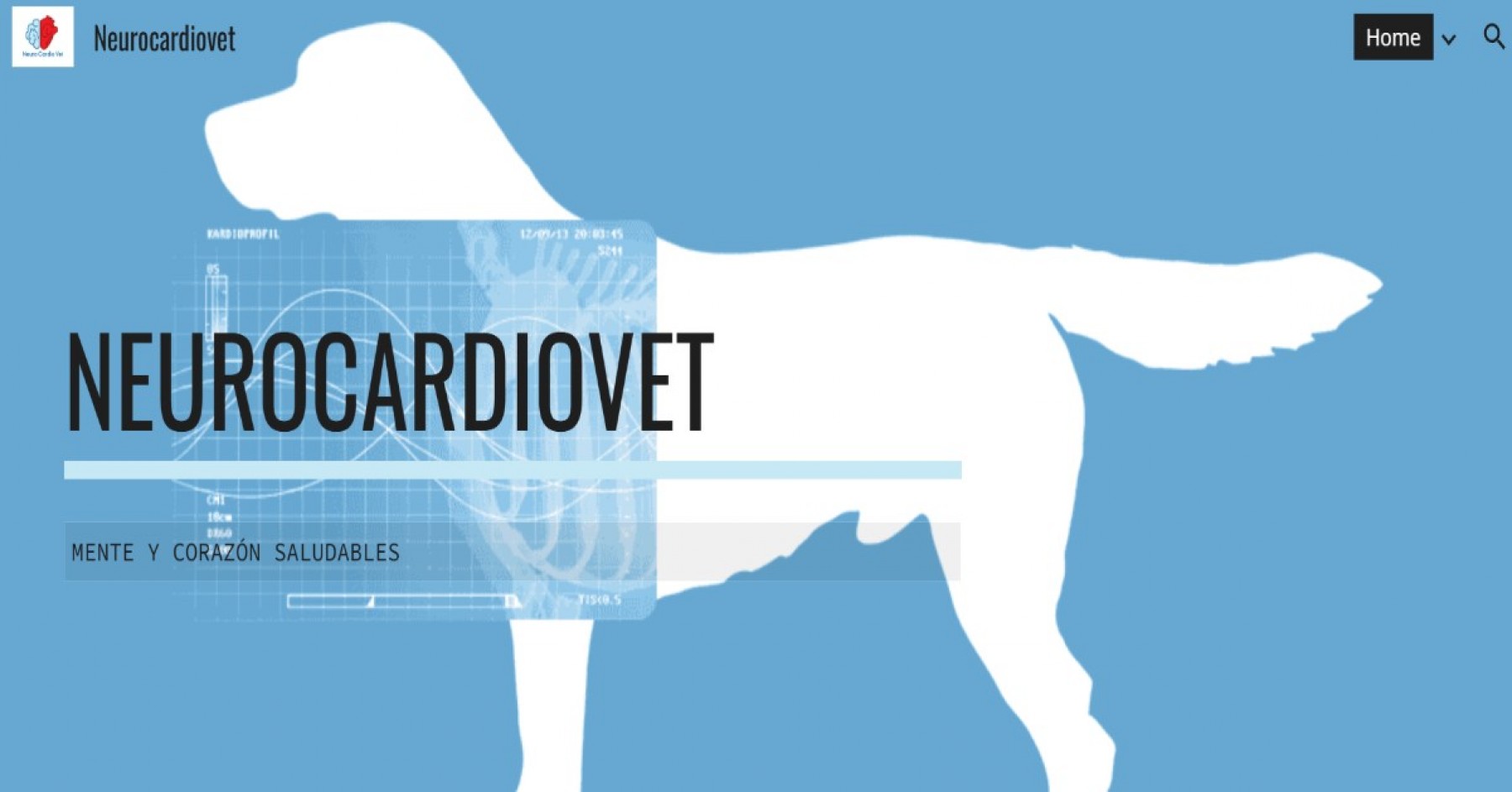 Neurocardiovet