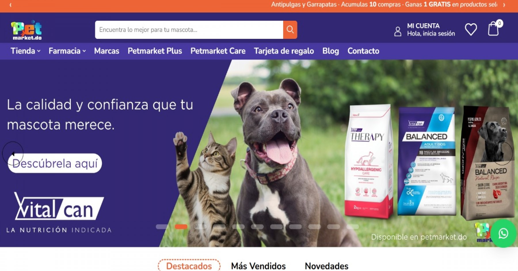 Pet Market