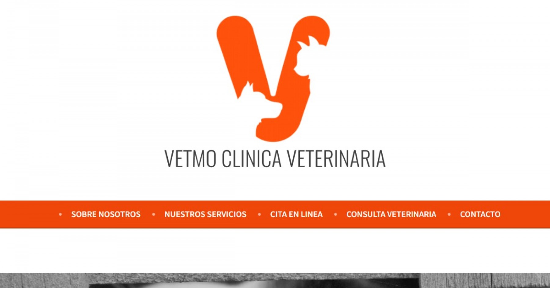 VETMO CLINICA VETERINARIA