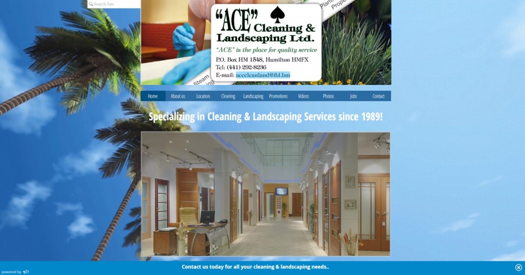 ACE Cleaning & Landscaping Ltd