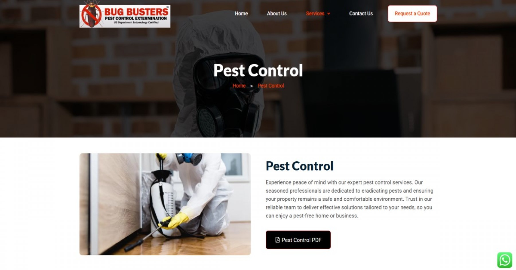 Bug Busters Co. Ltd