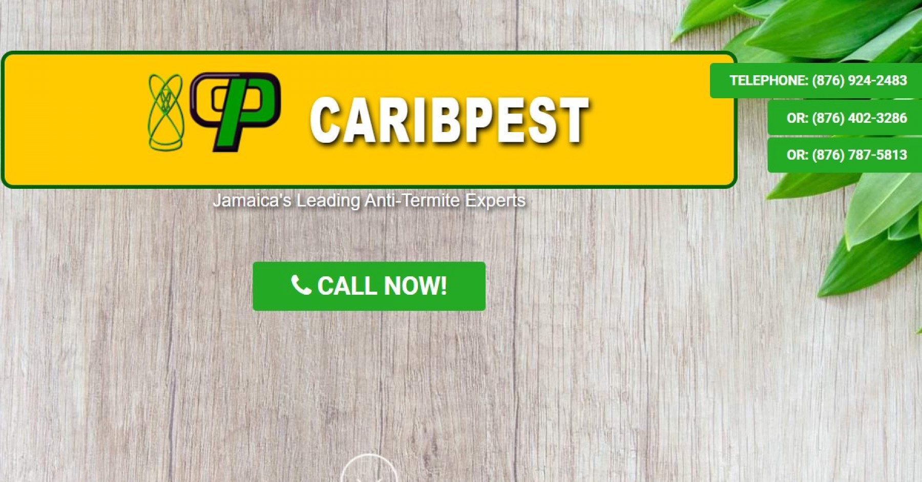 Carib Pest Control
