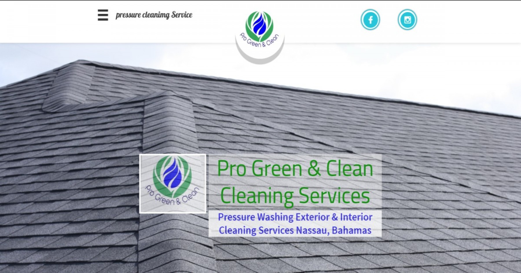 Pro Green & Clean​ & pressure washing