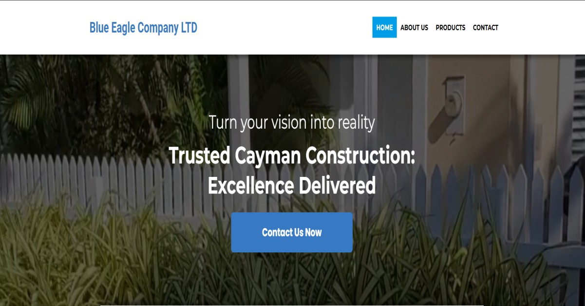 Blue Eagle Company Ltd