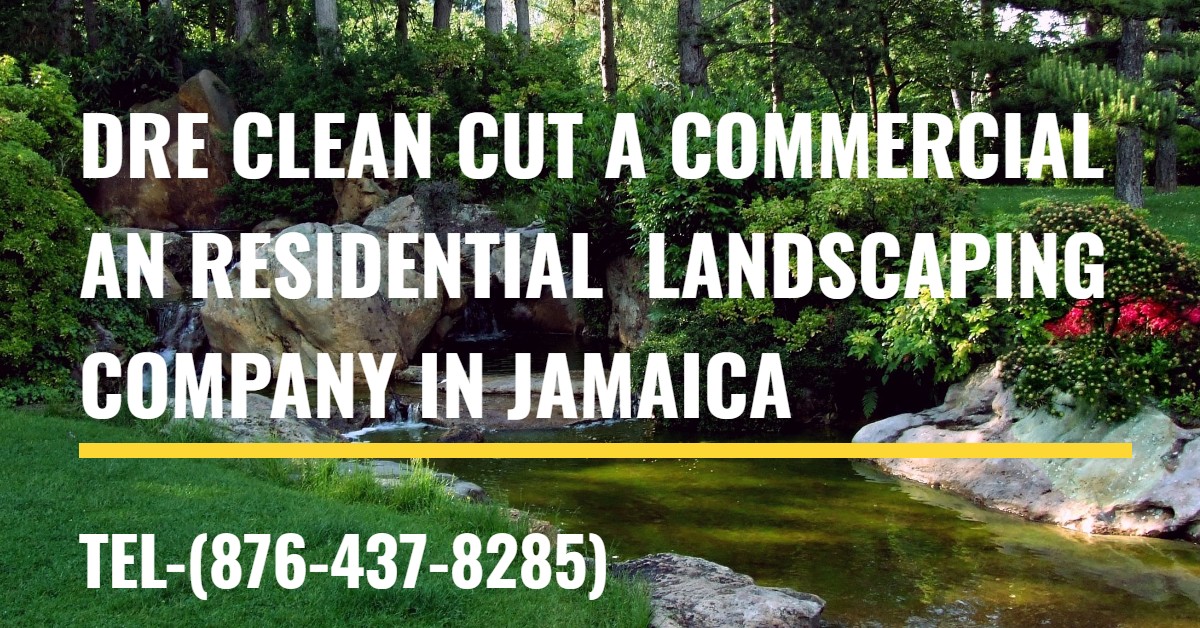 Dre Clean Cut  Landscaping