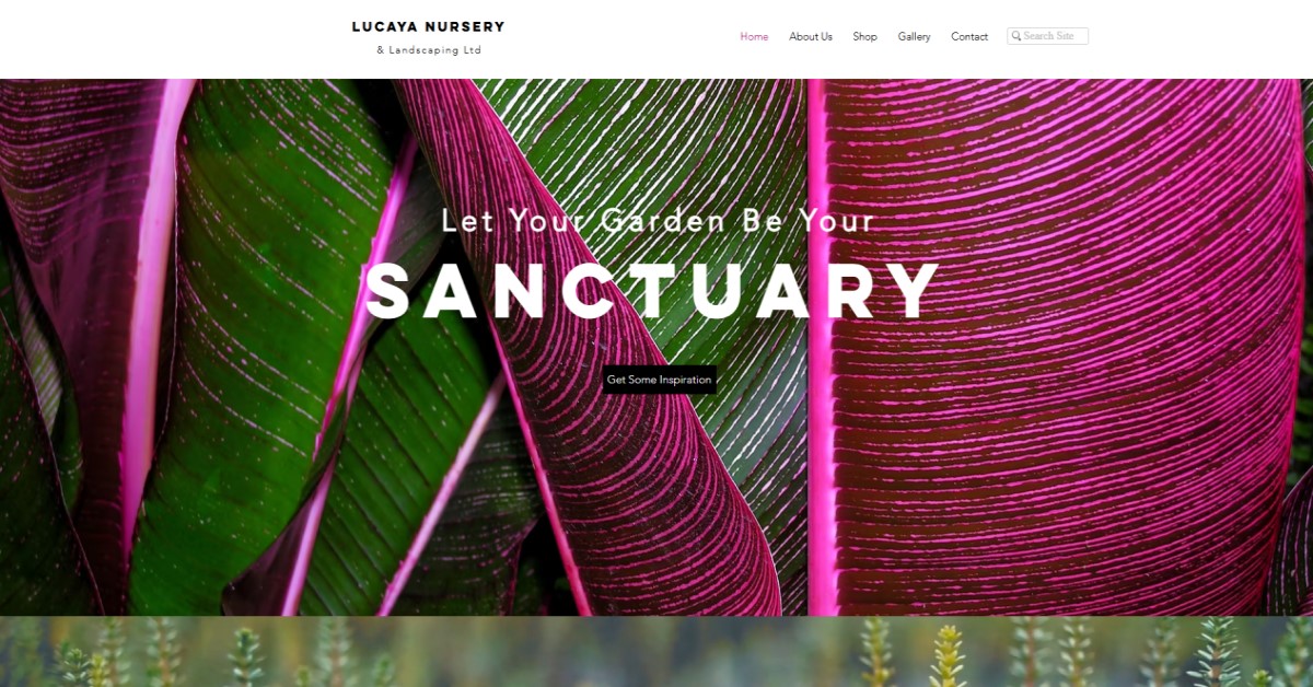 Lucaya Nursery & Landscaping Ltd