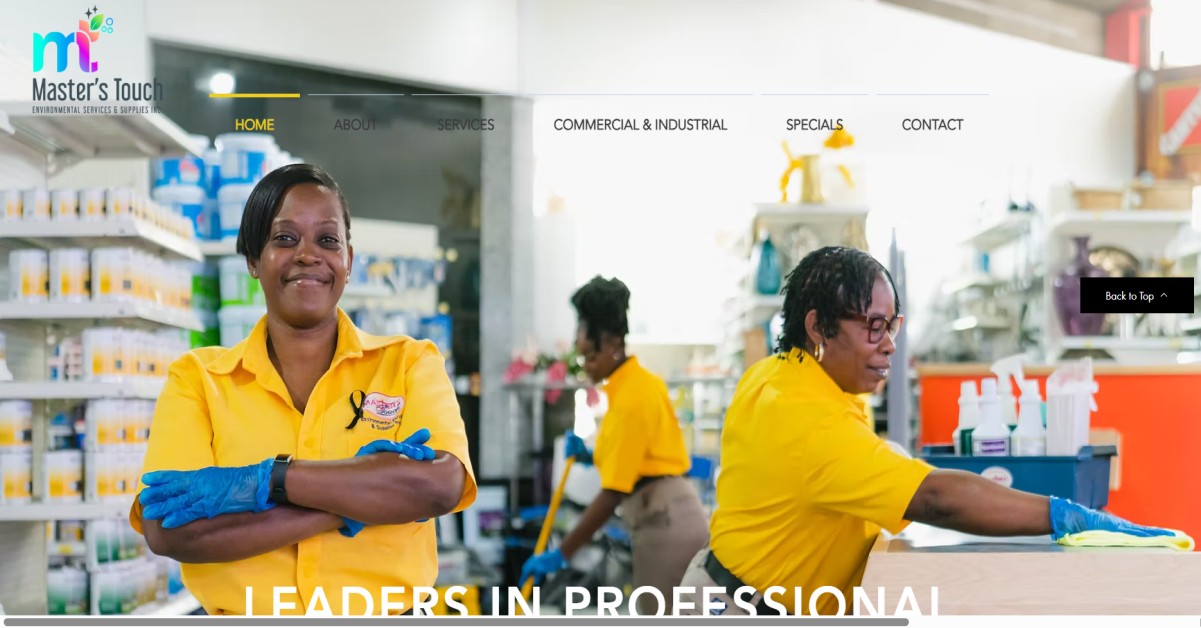 Master's Touch Environmental Service & supples