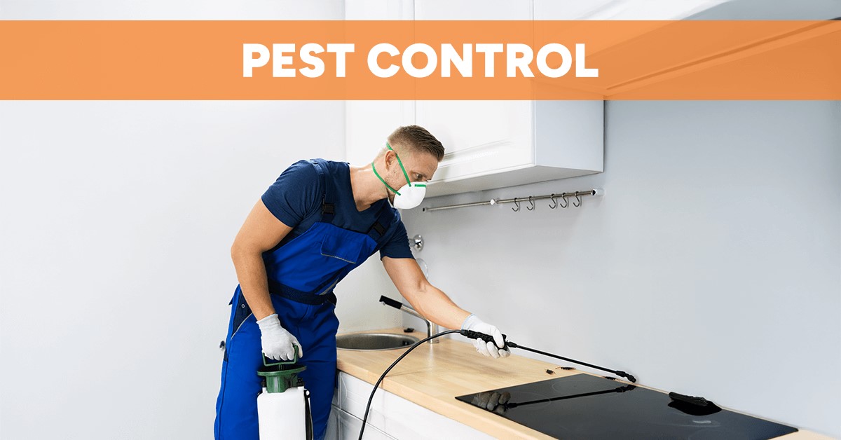 Maximum Pest Control