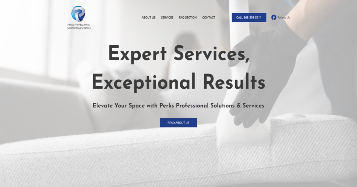 Perks Professional Solutions and Services TT