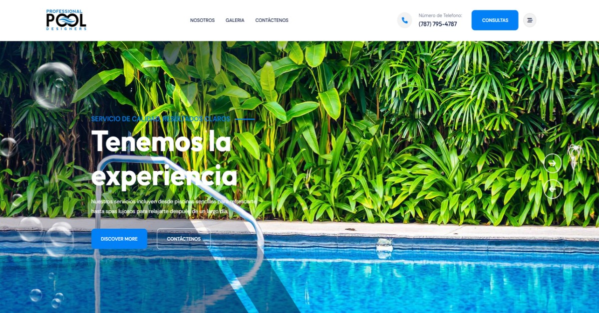 Professional Pool Designers