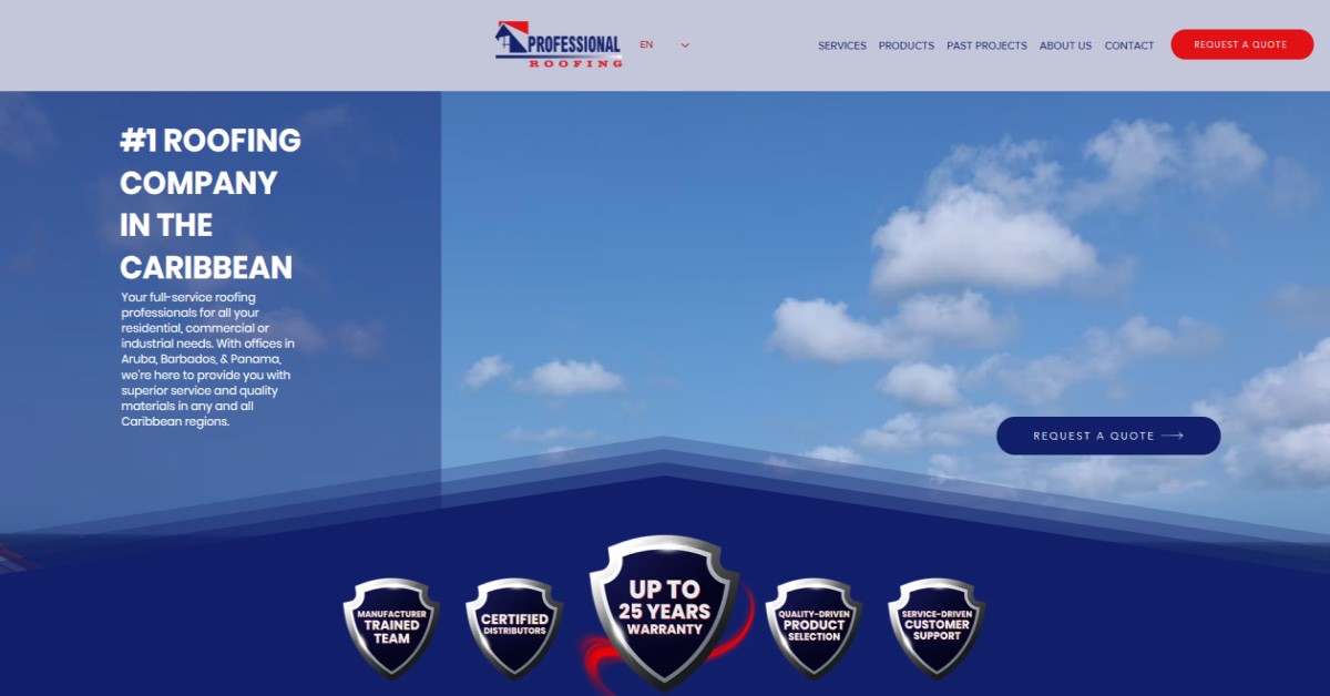 Professional Roofing