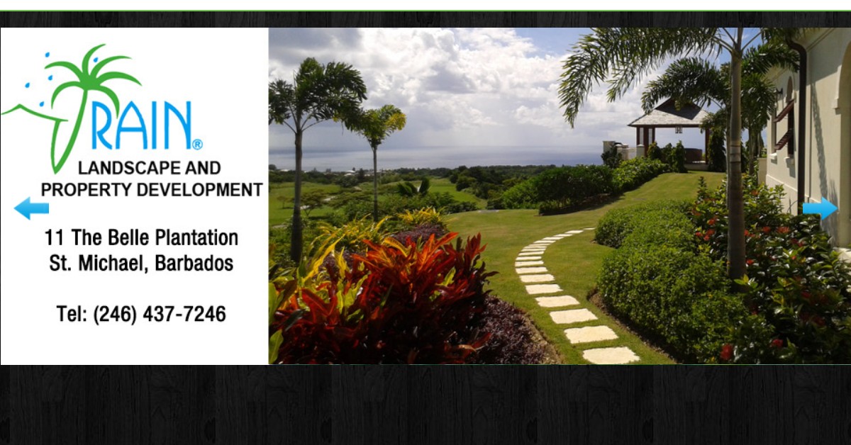 Rain Landscape and Property Development