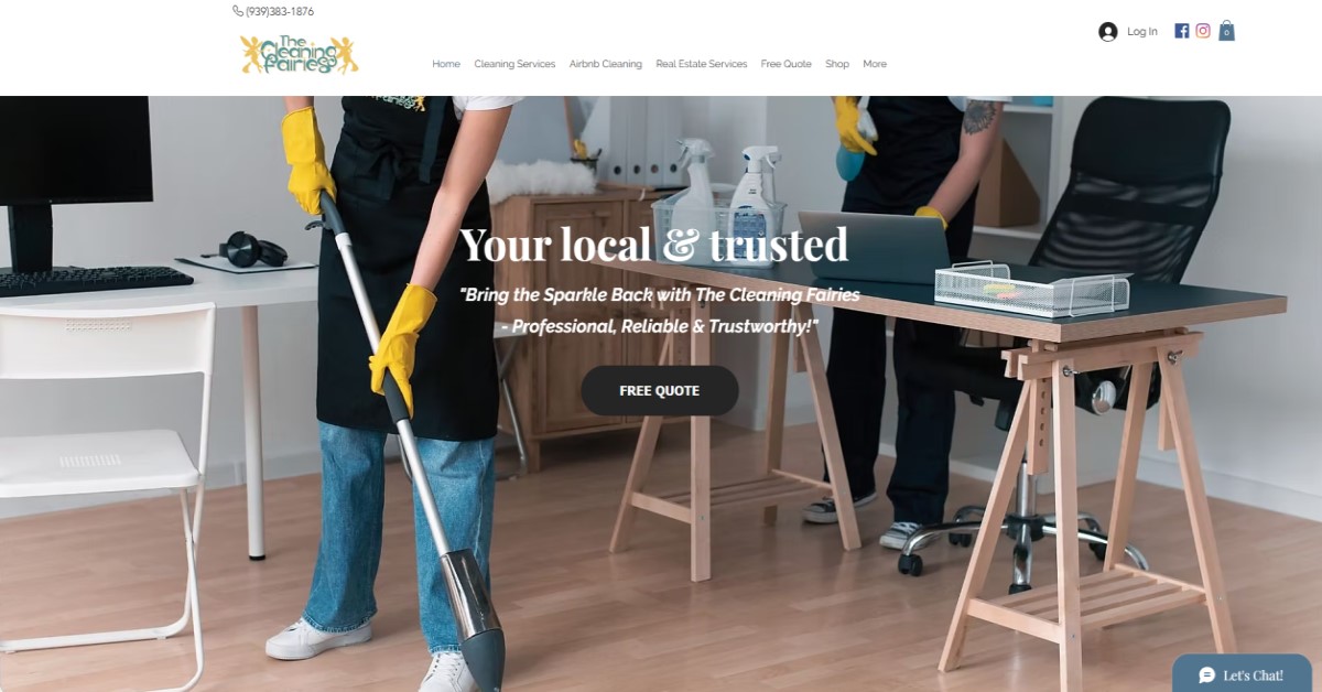 The Cleaning Fairies