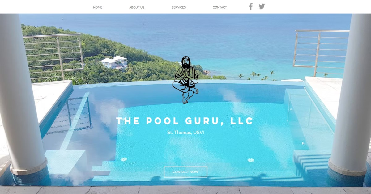 The Pool Guru LLC