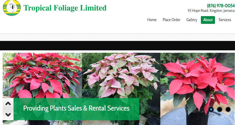 Tropical Foliage Limited