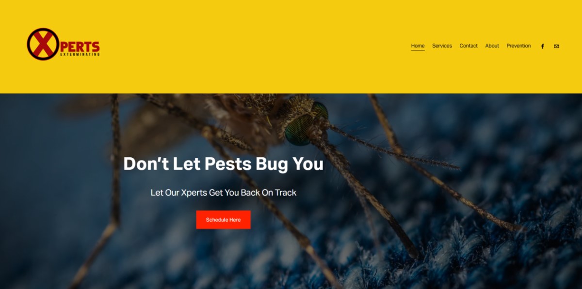 Xperts Exterminating